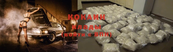 дживик Арсеньев