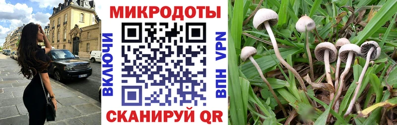 Галлюциногенные грибы Magic Shrooms  Макарьев 